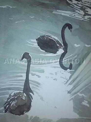 Black Swans