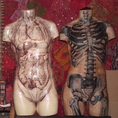 Anatomical Wall hanging